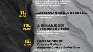 Művészeti Napok